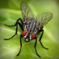 /album/hiram84club/photolia-a01-jpg/