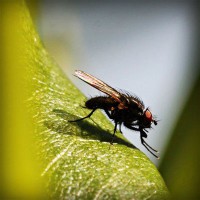 /album/hiram84club/photolia-a04-jpg/