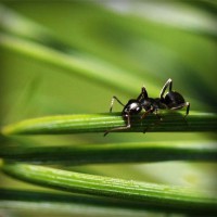 /album/hiram84club/photolia-a05-jpg/