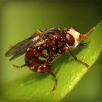 /album/hiram84club/photolia-a06-jpg/