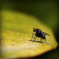 /album/hiram84club/photolia-a07-jpg/